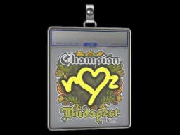 Sticker Slab | ropz (Champion) | Budapest 2025