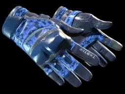 ★ Moto Gloves | Polygon (Factory New)