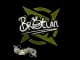Sticker | Brollan (Glitter) | Paris 2023 CS2 skin