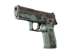 P250 | Copper Oxide (Battle-Scarred)