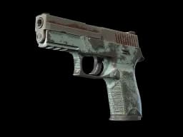 P250 | Copper Oxide (Battle-Scarred)