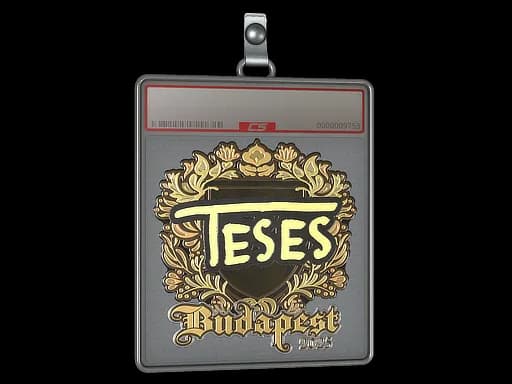 Sticker Slab | TeSeS (Gold) | Budapest 2025