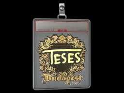 Sticker Slab | TeSeS (Gold) | Budapest 2025