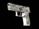 P250 | Sleet