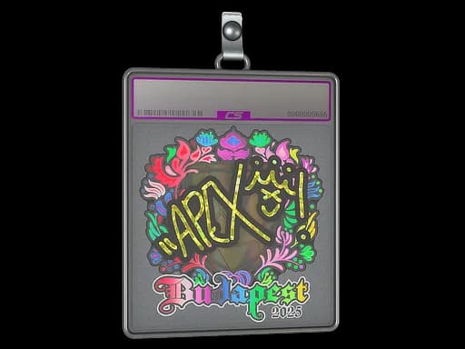 Sticker Slab | apEX (Holo) | Budapest 2025