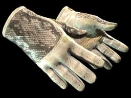 ★ Driver Gloves | King Snake (Well-Worn)