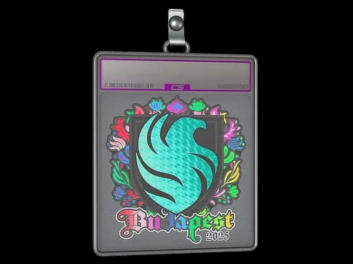 Sticker Slab | Falcons (Holo) | Budapest 2025