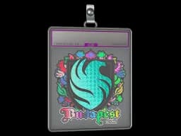 Sticker Slab | Falcons (Holo) | Budapest 2025