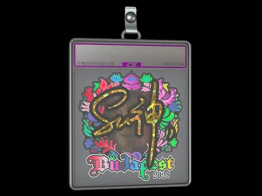 Sticker Slab | C4LLM3SU3 (Holo) | Budapest 2025