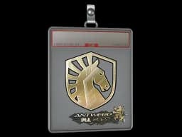 Sticker Slab | Team Liquid (Gold) | Antwerp 2022