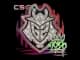 Sticker | G2 | 2020 RMR CS2 skin
