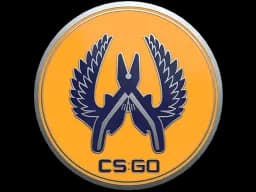 Guardian 2 Pin - CS2 Skin Prices