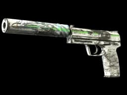 USP-S | Road Rash (Well-Worn)