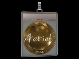 Sticker Slab | Aerial (Gold) | Katowice 2019