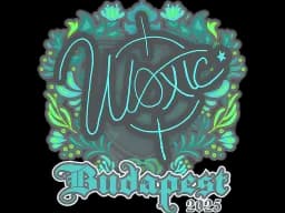 Sticker | woxic | Budapest 2025