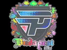Sticker | paiN Gaming (Holo) | Budapest 2025