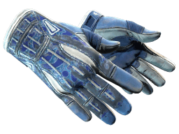 ★ Sport Gloves | Amphibious (Battle-Scarred)