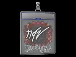 Sticker Slab | NQZ | Budapest 2025