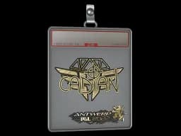 Sticker Slab | cadiaN (Gold) | Antwerp 2022