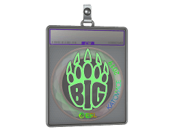 Sticker Slab | BIG (Holo) | Katowice 2019