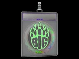 Sticker Slab | BIG (Holo) | Katowice 2019