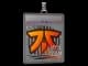 Sticker Slab | Fnatic | 2020 RMR CS2 skin