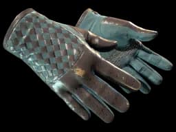 ★ Driver Gloves | Lunar Weave CS2 skin