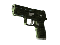 P250 | Iron Clad (Minimal Wear)