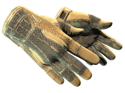 ★ Sport Gloves | Arid (Well-Worn)