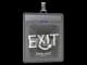 Sticker Slab | exit | Austin 2025 CS2 skin