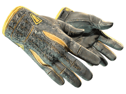 ★ Sport Gloves | Omega (Battle-Scarred)