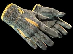 ★ Sport Gloves | Omega (Battle-Scarred)