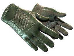 ★ Driver Gloves | Racing Green (Minimal Wear)