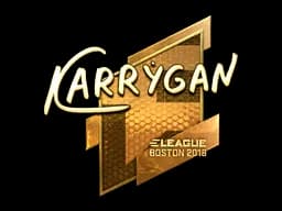 karrigan - CS2 Skin Prices