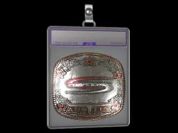 Sticker Slab | Complexity Gaming (Foil) | Austin 2025