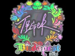 Sticker | Tiger (Holo) | Budapest 2025