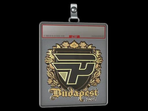 Sticker Slab | paiN Gaming (Gold) | Budapest 2025