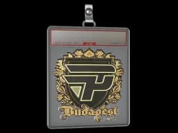 Sticker Slab | paiN Gaming (Gold) | Budapest 2025