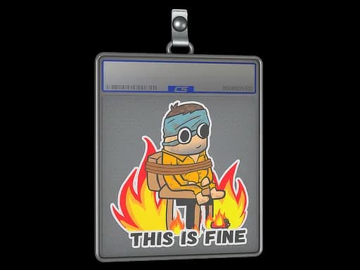 Sticker Slab | This Is Fine (H)