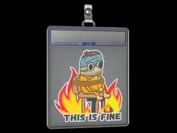 Sticker Slab | This Is Fine (H)