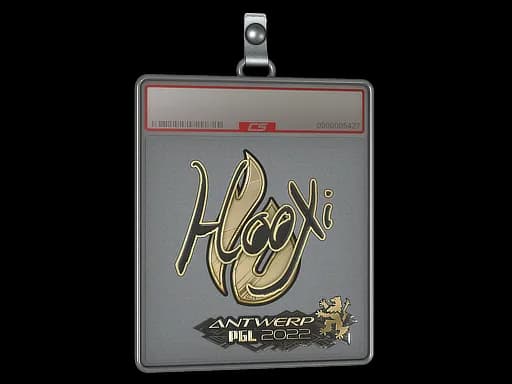 Sticker Slab | HooXi (Gold) | Antwerp 2022