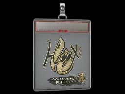 Sticker Slab | HooXi (Gold) | Antwerp 2022