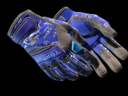 ★ Specialist Gloves | Cloud Chaser (Well-Worn)