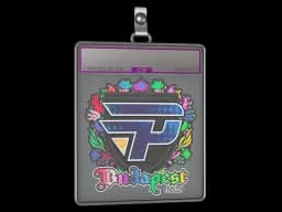 Sticker Slab | paiN Gaming (Holo) | Budapest 2025