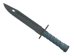 ★ StatTrak™ Bayonet | Night (Minimal Wear)