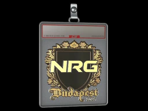 Sticker Slab | NRG (Gold) | Budapest 2025