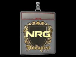 Sticker Slab | NRG (Gold) | Budapest 2025
