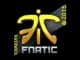 Sticker | Fnatic | Katowice 2015 CS2 skin