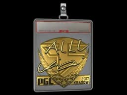 Sticker Slab | allu (Gold) | Krakow 2017