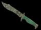 ★ Bowie Knife | Boreal Forest CS2 skin